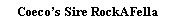Text Box: Coecos Sire RockAFella