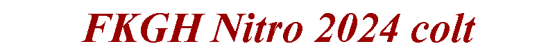 Text Box: FKGH Nitro 2024 colt