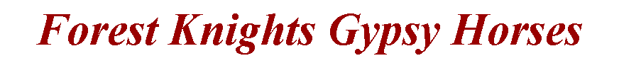 Text Box: Forest Knights Gypsy Horses
